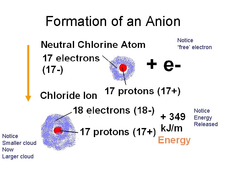 Formation of an Anion Notice “free’ electron Notice Energy Released Notice Smaller cloud Now