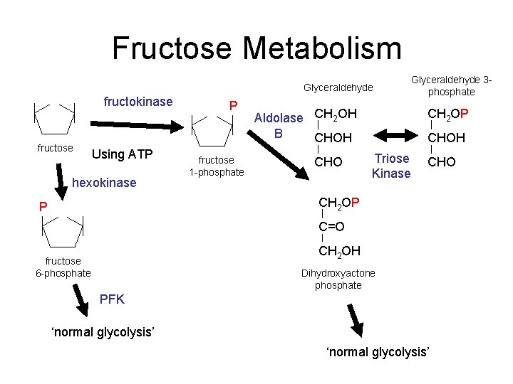Fructose Metabolism Glyceraldehyde fructokinase fructose Using ATP hexokinase P fructose 1 -phosphate Glyceraldehyde 3