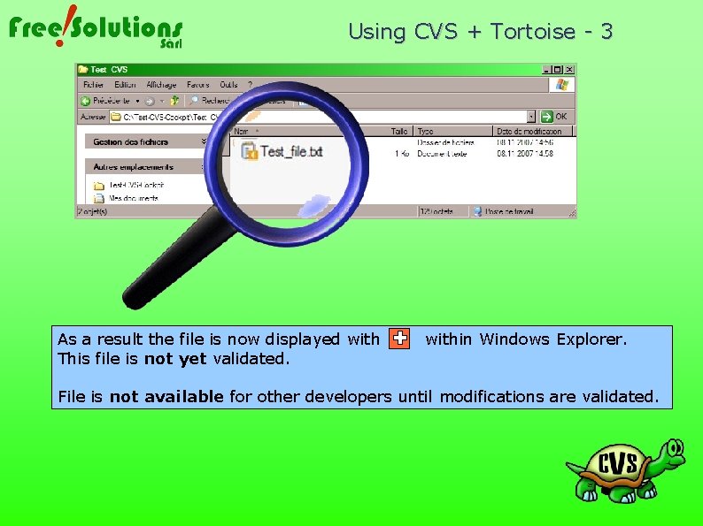 Using CVS + Tortoise - 3 As a result the file is now displayed