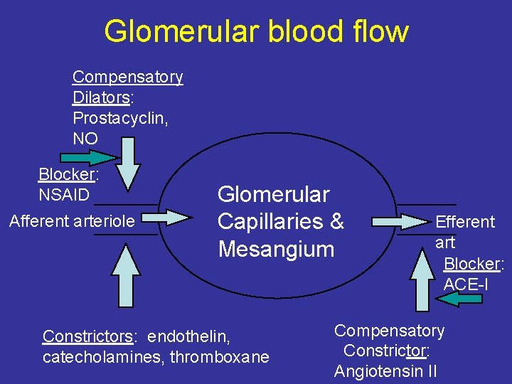 Glomerular blood flow Compensatory Dilators: Prostacyclin, NO Blocker: NSAID Afferent arteriole Glomerular Capillaries &