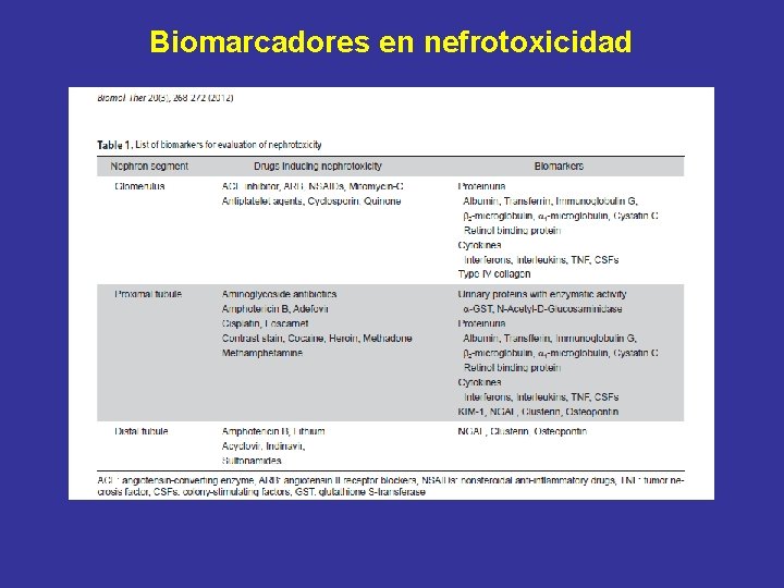 Biomarcadores en nefrotoxicidad 