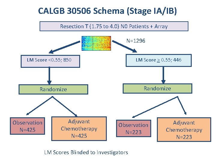 CALGB 30506 Schema (Stage IA/IB) Resection T (1. 75 to 4. 0) N 0