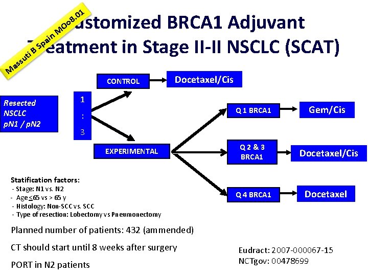 1 0. 8 Oo Customized BRCA 1 Adjuvant ai p S Treatment in Stage