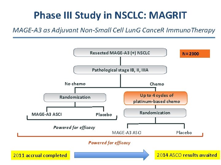 Phase III Study in NSCLC: MAGRIT MAGE-A 3 as Adjuvant Non-Small Cell Lun. G