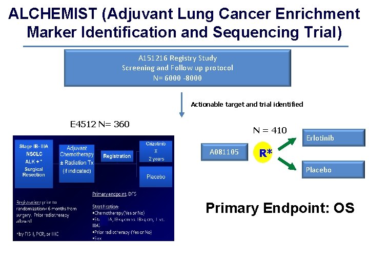 ALCHEMIST (Adjuvant Lung Cancer Enrichment Marker Identification and Sequencing Trial) A 151216 Registry Study