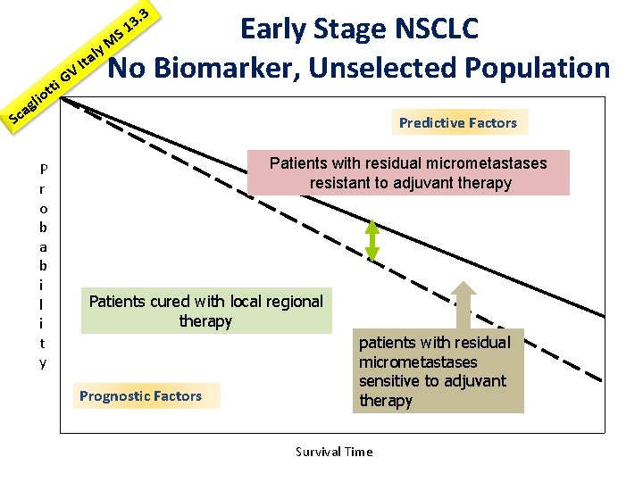 . 3 3 1 Early Stage NSCLC l Ita No Biomarker, Unselected Population V