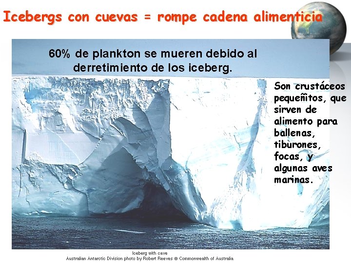 Icebergs con cuevas = rompe cadena alimenticia 60% de plankton se mueren debido al