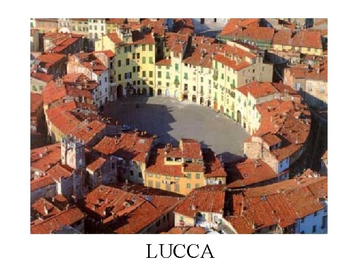 LUCCA 