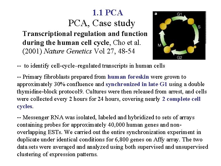 1. 1 PCA, Case study Transcriptional regulation and function during the human cell cycle,