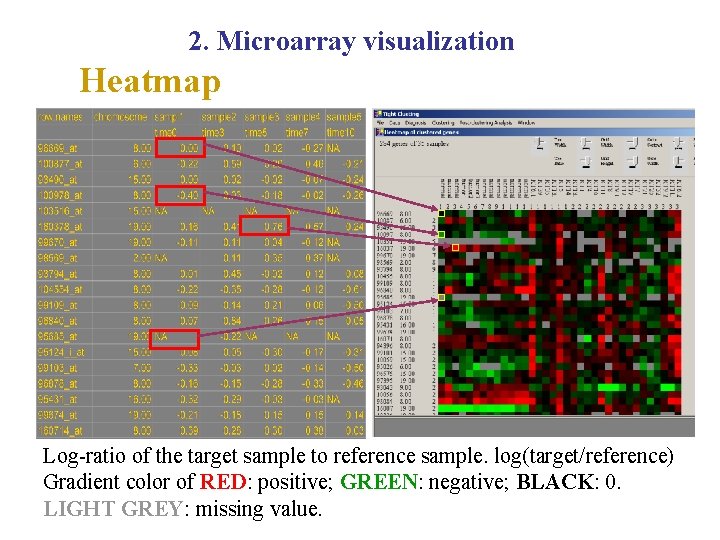 2. Microarray visualization Heatmap Log-ratio of the target sample to reference sample. log(target/reference) Gradient