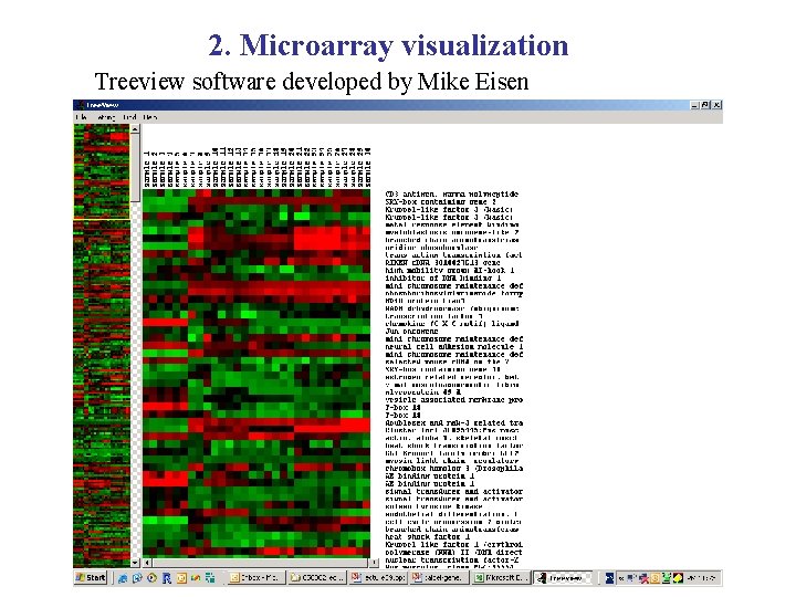 2. Microarray visualization Treeview software developed by Mike Eisen 