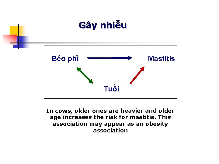 Gây nhiễu Béo phì Mastitis Tuổi In cows, older ones are heavier and older