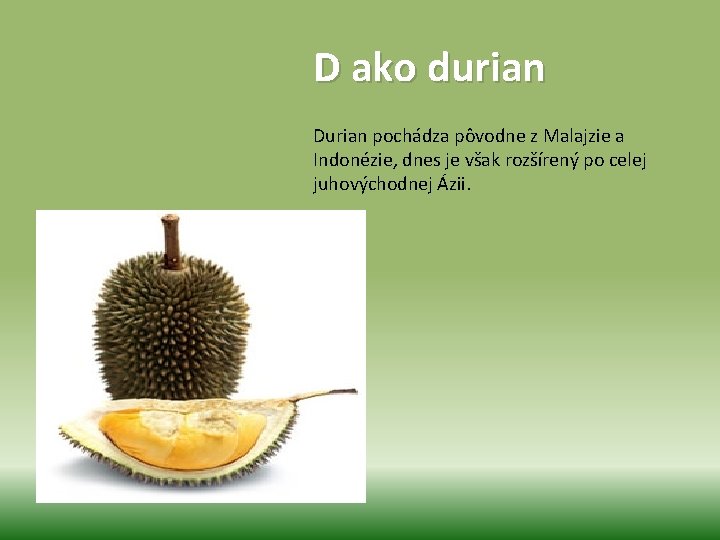 D ako durian Durian pochádza pôvodne z Malajzie a Indonézie, dnes je však rozšírený