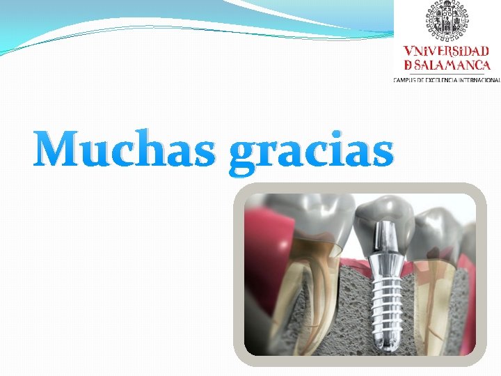 Muchas gracias 