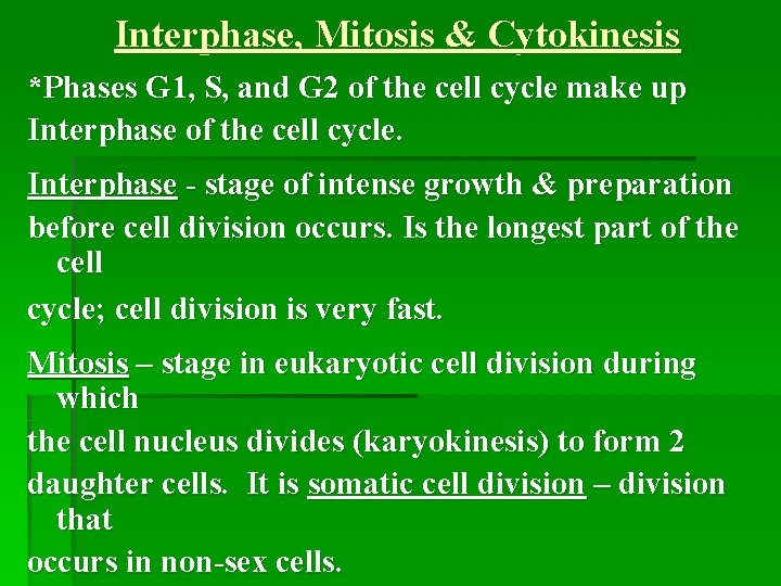 Interphase, Mitosis & Cytokinesis *Phases G 1, S, and G 2 of the cell