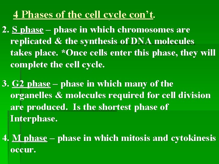 4 Phases of the cell cycle con’t. 2. S phase – phase in which