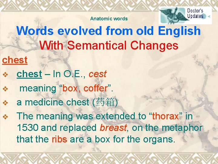 Anatomic words Words evolved from old English With Semantical Changes chest v chest –