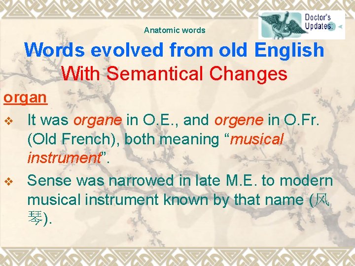 Anatomic words Words evolved from old English With Semantical Changes organ v It was