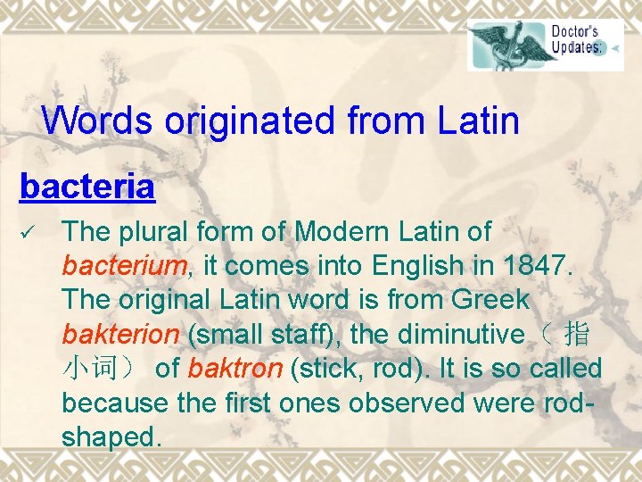 Words originated from Latin bacteria ü The plural form of Modern Latin of bacterium,