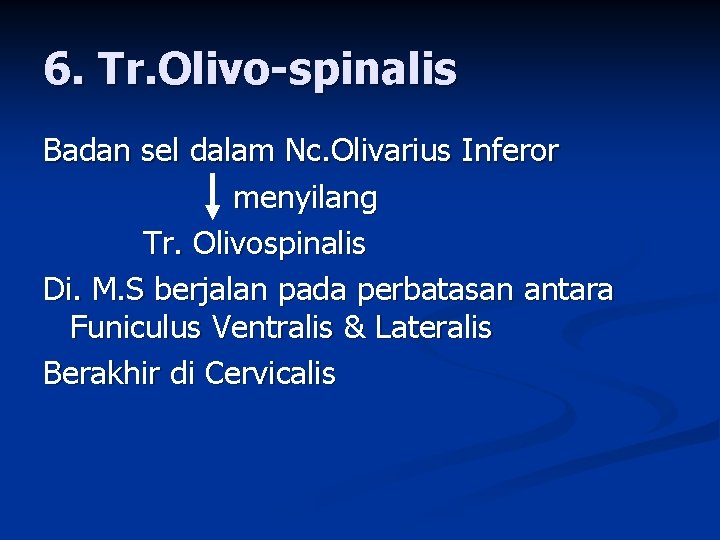 6. Tr. Olivo-spinalis Badan sel dalam Nc. Olivarius Inferor menyilang Tr. Olivospinalis Di. M.