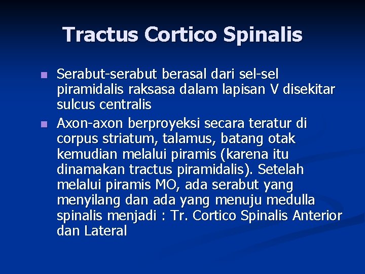 Tractus Cortico Spinalis n n Serabut-serabut berasal dari sel-sel piramidalis raksasa dalam lapisan V