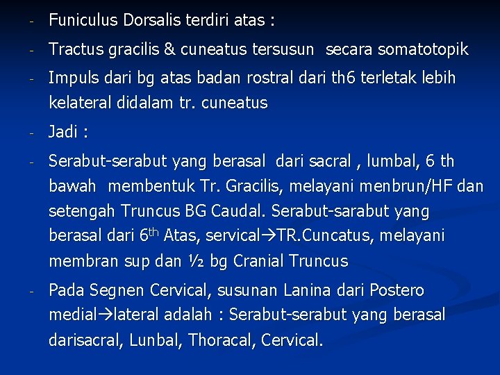 - Funiculus Dorsalis terdiri atas : - Tractus gracilis & cuneatus tersusun secara somatotopik