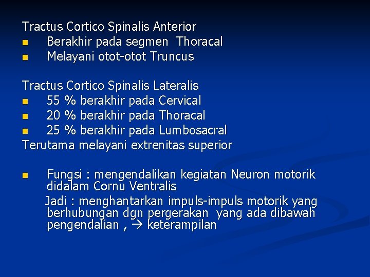 Tractus Cortico Spinalis Anterior n Berakhir pada segmen Thoracal n Melayani otot-otot Truncus Tractus