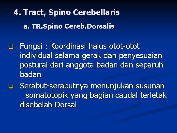 4. Tract, Spino Cerebellaris a. TR. Spino Cereb. Dorsalis Fungsi : Koordinasi halus otot-otot