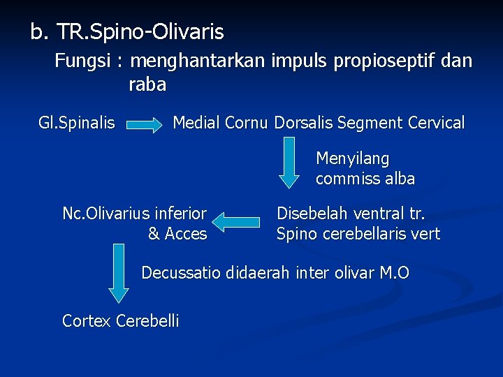 b. TR. Spino-Olivaris Fungsi : menghantarkan impuls propioseptif dan raba Gl. Spinalis Medial Cornu