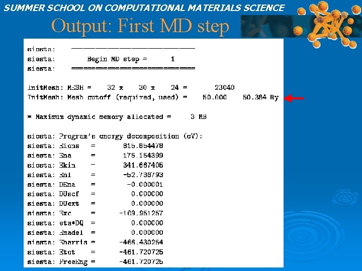 SUMMER SCHOOL ON COMPUTATIONAL MATERIALS SCIENCE Output: First MD step 