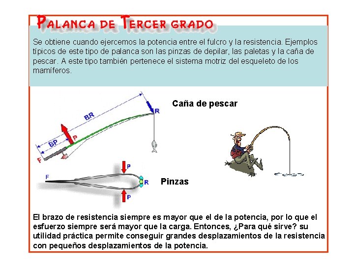 Se obtiene cuando ejercemos la potencia entre el fulcro y la resistencia. Ejemplos típicos