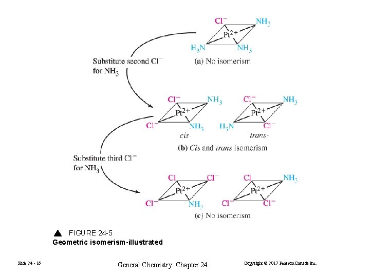 FIGURE 24 -5 Geometric isomerism-illustrated Slide 24 - 16 General Chemistry: Chapter 24 Copyright