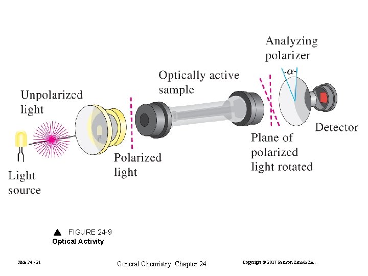 FIGURE 24 -9 Optical Activity Slide 24 - 21 General Chemistry: Chapter 24 Copyright