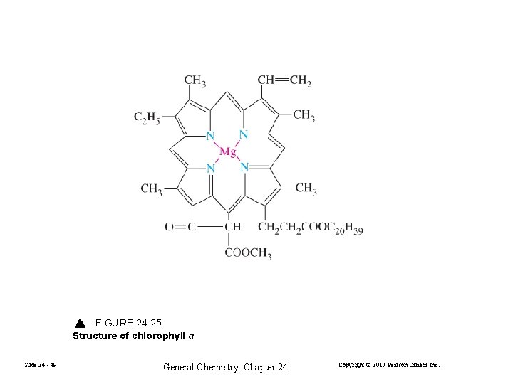 FIGURE 24 -25 Structure of chlorophyll a Slide 24 - 49 General Chemistry: Chapter