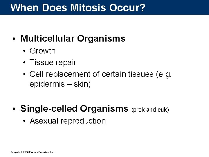 When Does Mitosis Occur? • Multicellular Organisms • Growth • Tissue repair • Cell