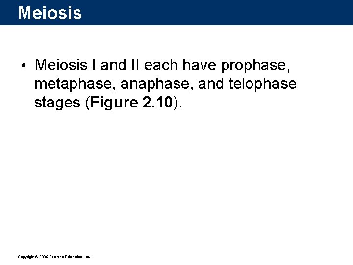 Meiosis • Meiosis I and II each have prophase, metaphase, and telophase stages (Figure