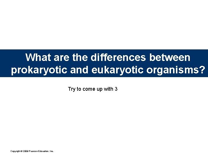 What are the differences between prokaryotic and eukaryotic organisms? Try to come up with