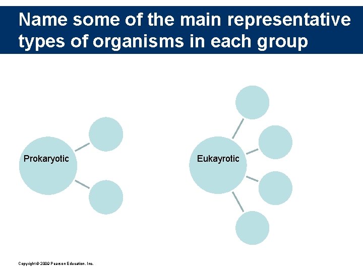 Name some of the main representative types of organisms in each group Prokaryotic Copyright