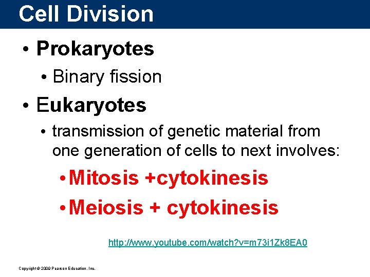 Cell Division • Prokaryotes • Binary fission • Eukaryotes • transmission of genetic material