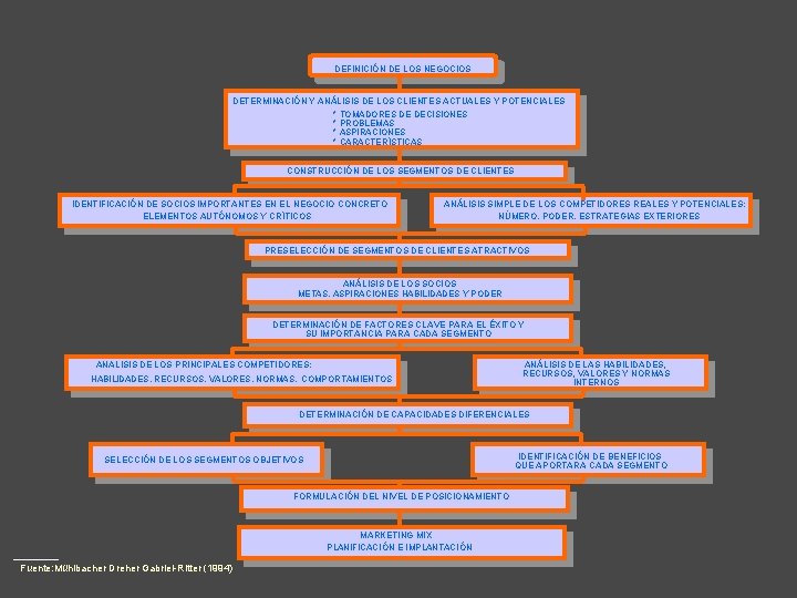 DEFINICIÓN DE LOS NEGOCIOS DETERMINACIÓN Y ANÁLISIS DE LOS CLIENTES ACTUALES Y POTENCIALES *