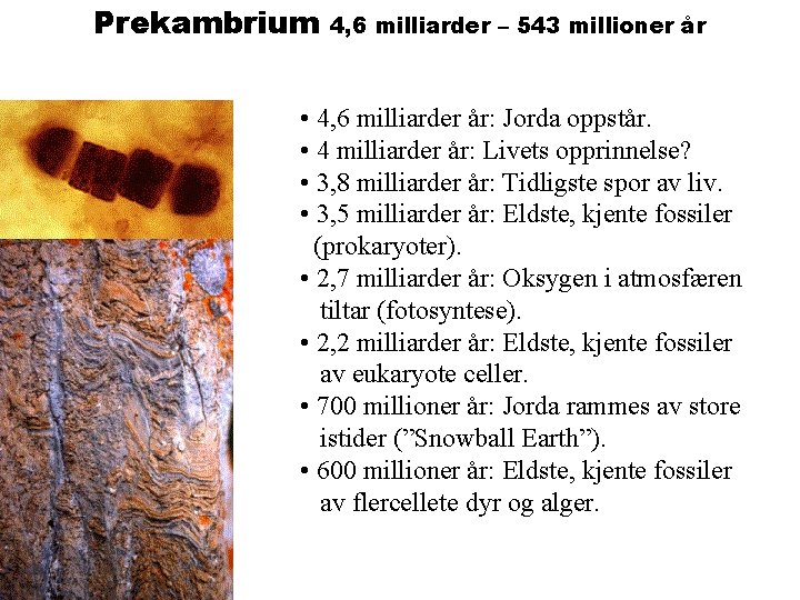 Prekambrium 4, 6 milliarder – 543 millioner år • 4, 6 milliarder år: Jorda