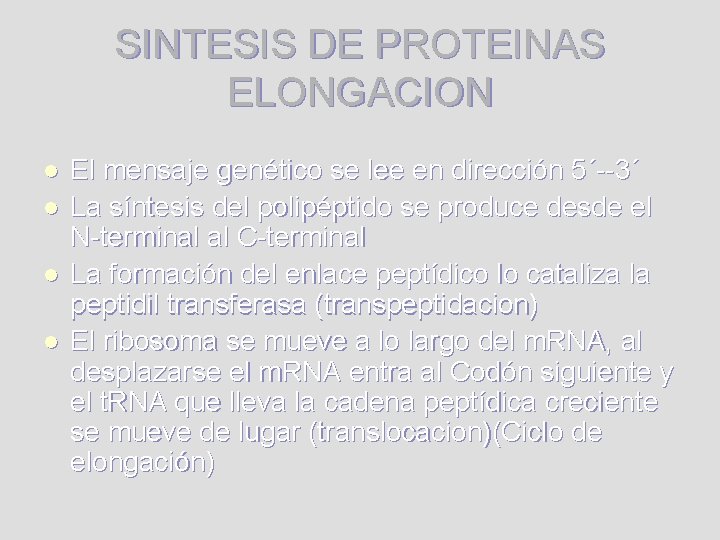 SINTESIS DE PROTEINAS ELONGACION l l El mensaje genético se lee en dirección 5´--3´ SINTESIS DE PROTEINAS ELONGACION l l El mensaje genético se lee en dirección 5´--3´