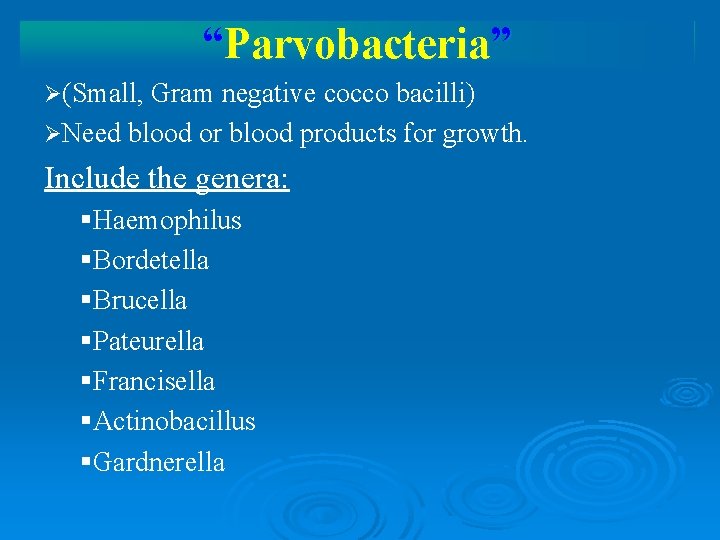 “Parvobacteria” Ø(Small, Gram negative cocco bacilli) ØNeed blood or blood products for growth. Include