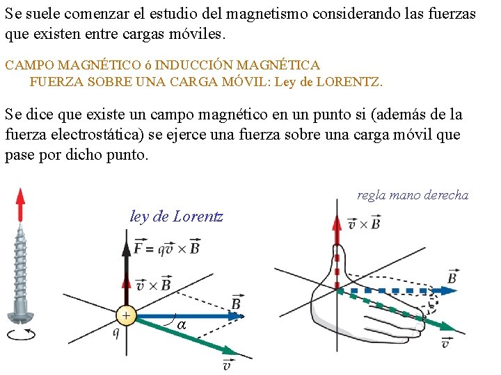 Se suele comenzar el estudio del magnetismo considerando las fuerzas que existen entre cargas Se suele comenzar el estudio del magnetismo considerando las fuerzas que existen entre cargas
