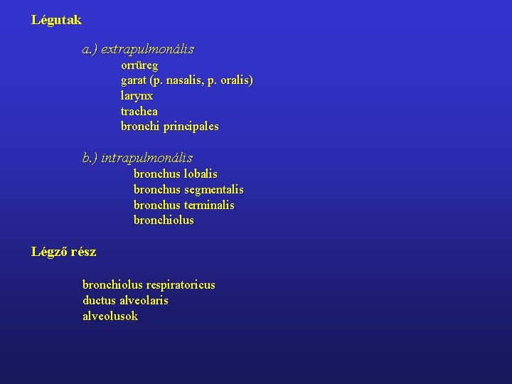 Légutak a. ) extrapulmonális orrüreg garat (p. nasalis, p. oralis) larynx trachea bronchi principales