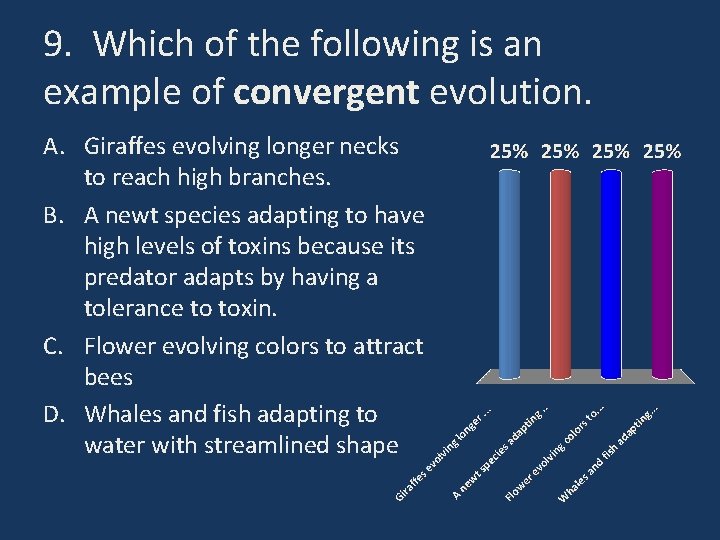 9. Which of the following is an example of convergent evolution. A. Giraffes evolving