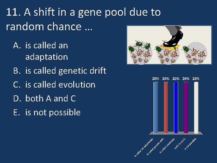 11. A shift in a gene pool due to random chance … A. is