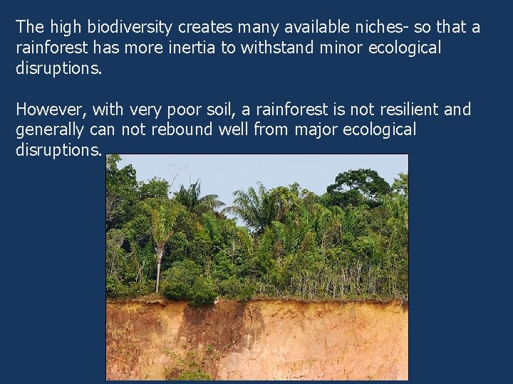 The high biodiversity creates many available niches- so that a rainforest has more inertia