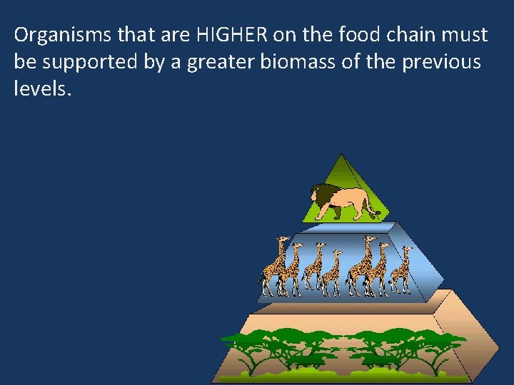 Organisms that are HIGHER on the food chain must be supported by a greater