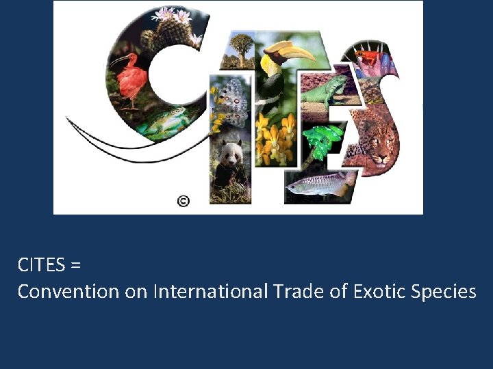 CITES = Convention on International Trade of Exotic Species 